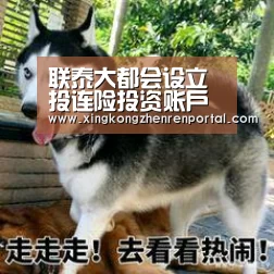 星空官网